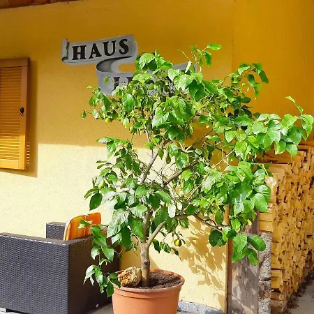 Chalet Gramart